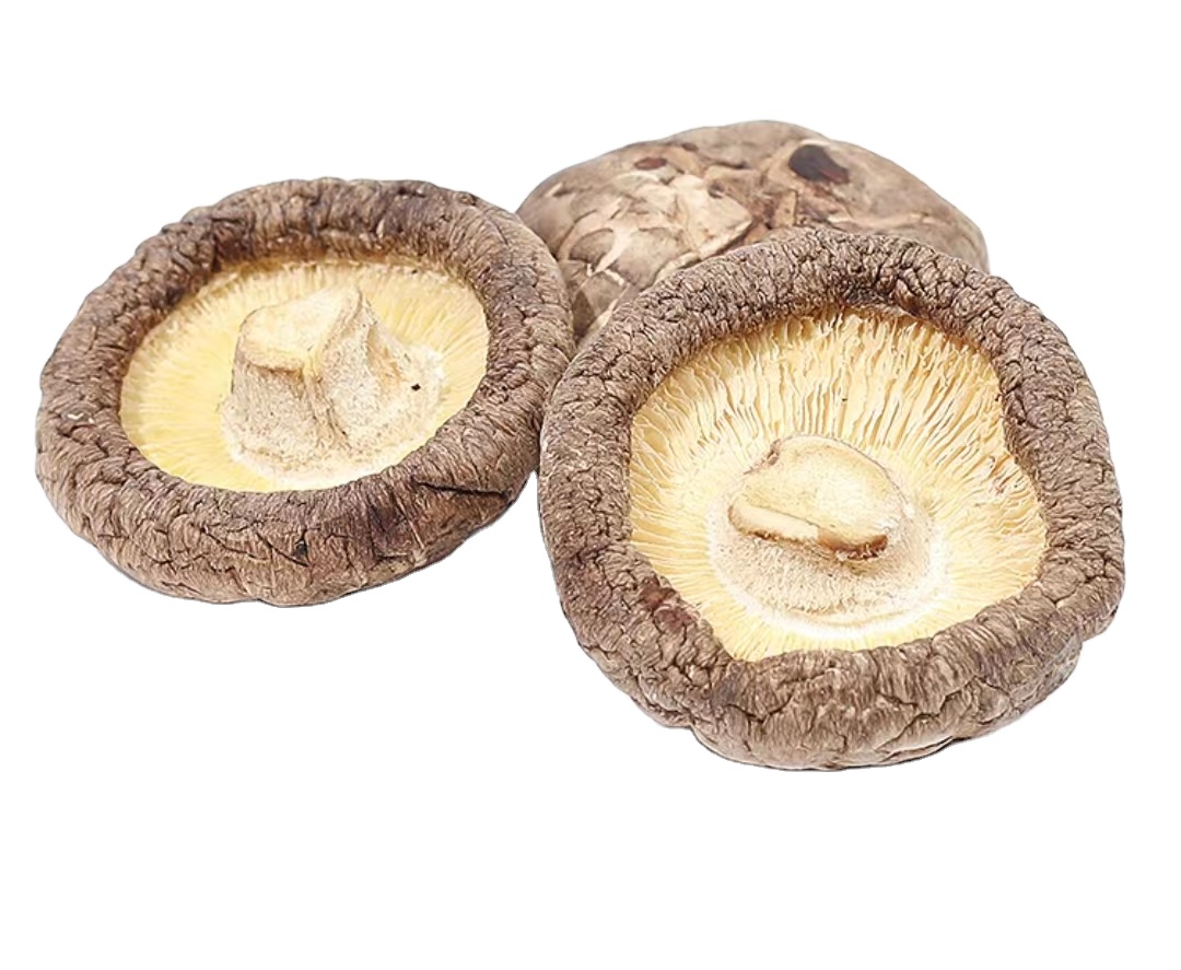 Китайские производители, льготные цены, сушеные грибы и вкусные грибы