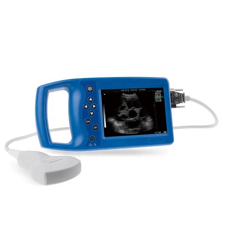 Veterinary Full Portable Digital Diagnostic Equipment Handheld Ultrasound Scanner for Animal