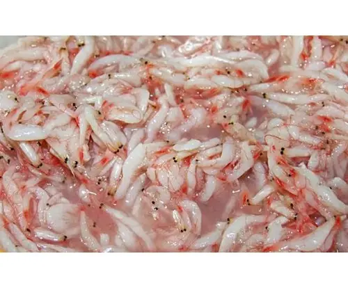 Salted Baby Shrimp/ high quality and best price Salted Baby Shrimp/Ms.Thi Nguyen +84 988 872 713