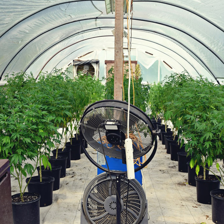 Irrigation System Productive Single-span greenhouses Agriculture Green House For Sale