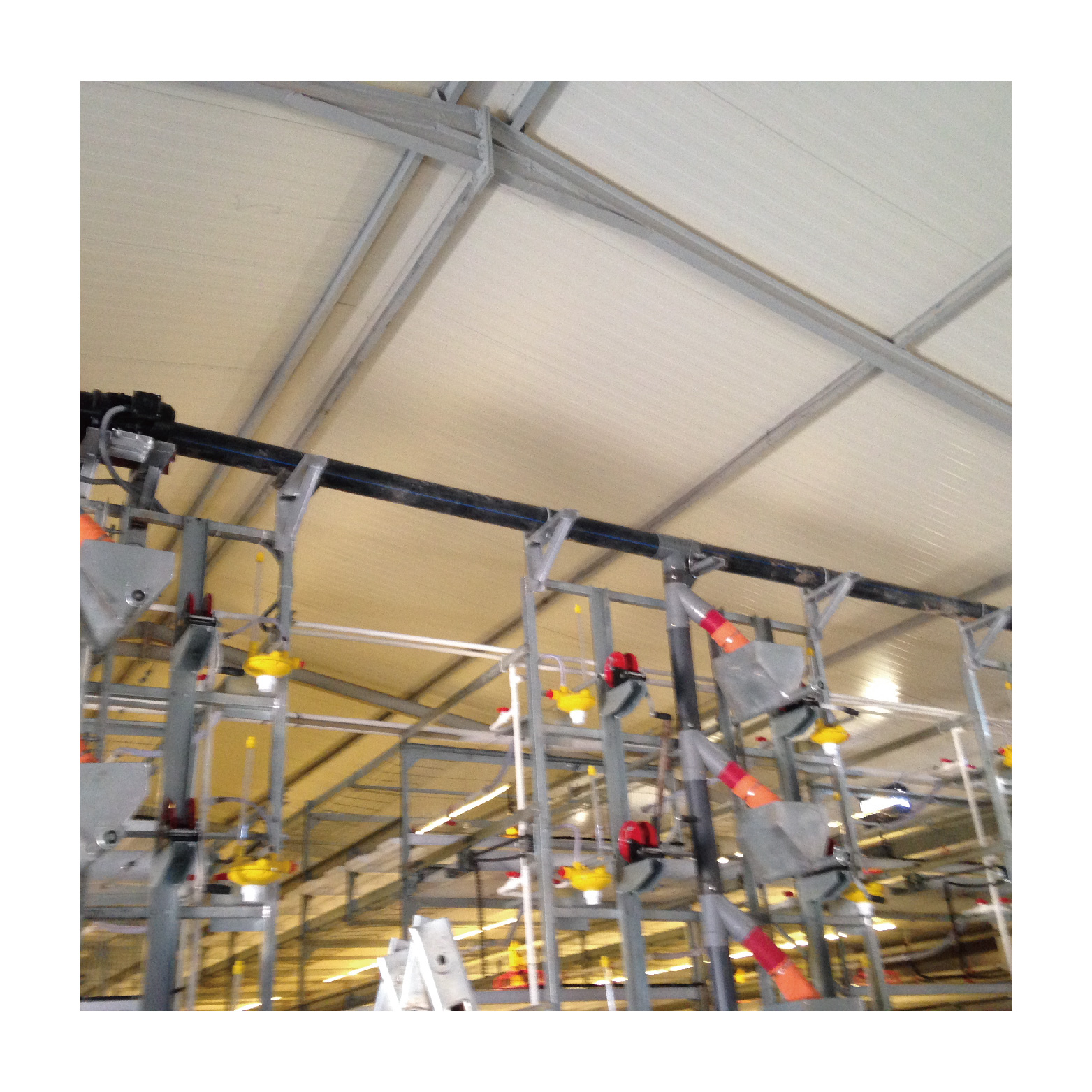 Long-Service-Life Hot Dip Galvanized Steel Poultry Farming Cage New Automatic Meat Broiler Battery Rearing Layer Cage Birds