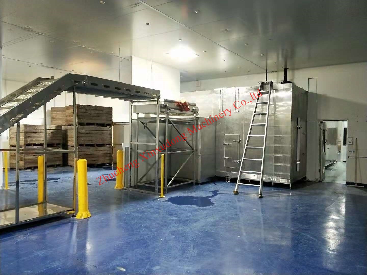 IQF tunnel freezer for fruits and vegetables