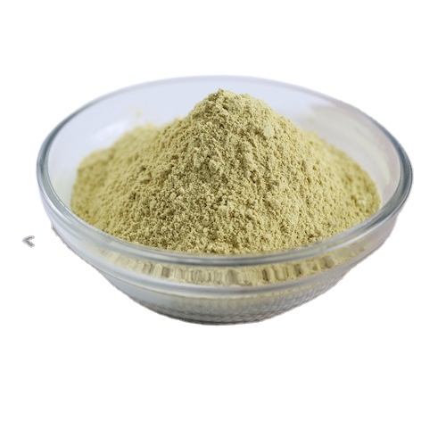 BRC Factory Supplying Sophora Japonica Extract Rutin NF11 Rutin Powder CAS 153-18-4