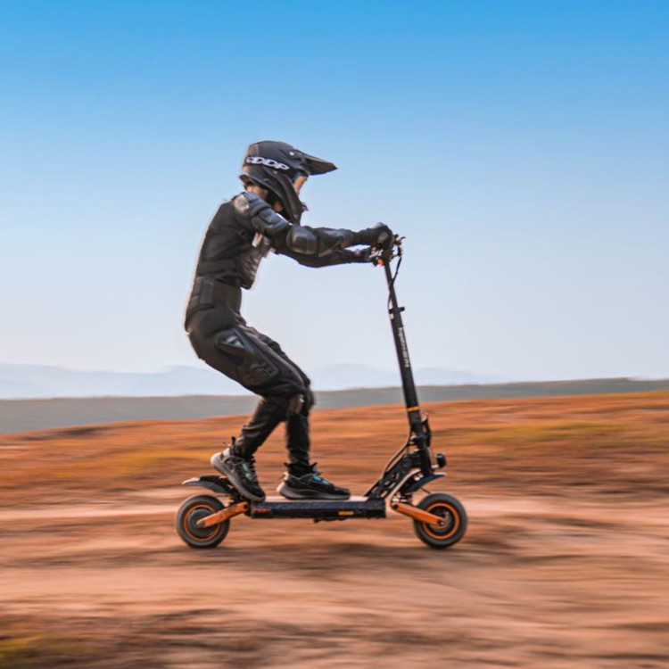 ЕС склад Бесплатная доставка Kugoo G2 PRO 600W три-регулировка скорости 9 дюймов колеса взрослый Электрический скутер внедорожный