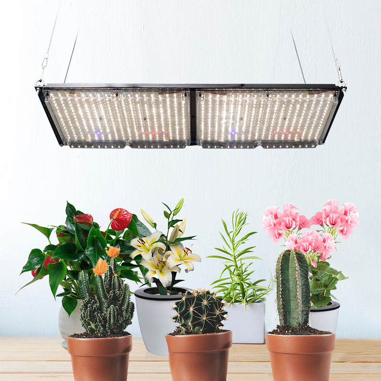Meijiu Lm301H UV IR, гидропонный светодиодный светильник для выращивания 240 Вт Samsung Chip Grow Led Lm301b Qb лампа для выращивания растений
