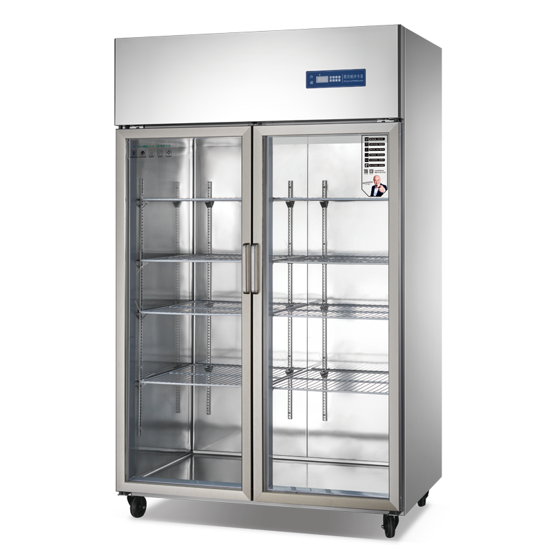 Professional commercial refrigerator kitchen ultra-low temperature household refrigerator