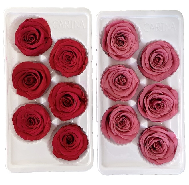 Preserved Rose flower,5-6 cm, real natural flower blooms single rose petal, cheaper supplier 2023 China