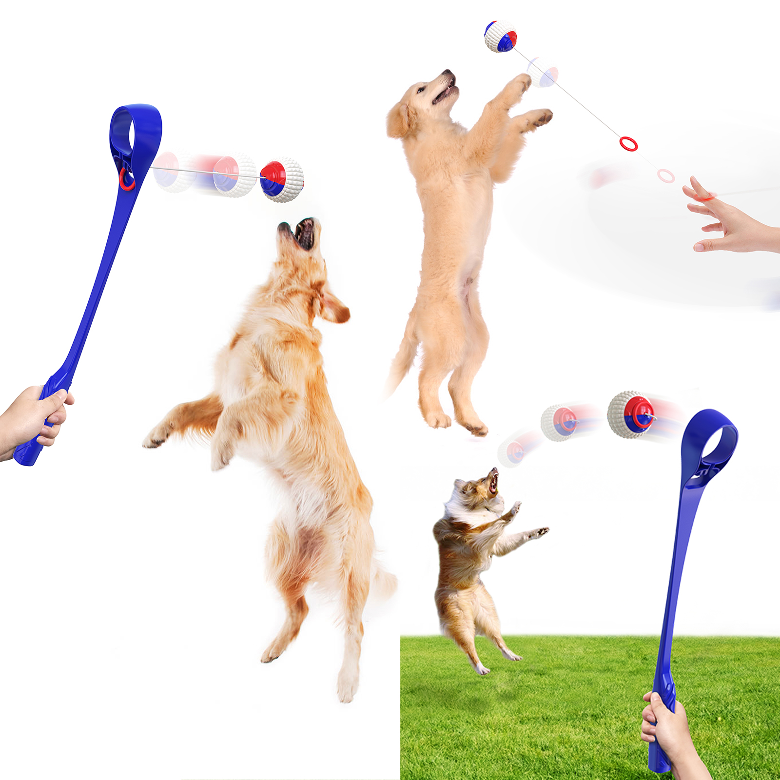 2021 new pet toy automatic retractable drawstring outdoor training throwing cue interactive dog toy