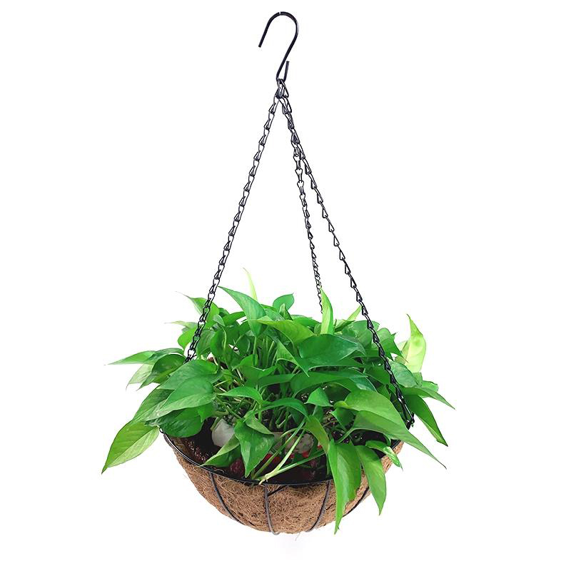 Eco-friendly 14 Inch Coconut Fiber Flowerpot Iron Hanging Planter Basket Decorative Baskets With Coco Coir Liner