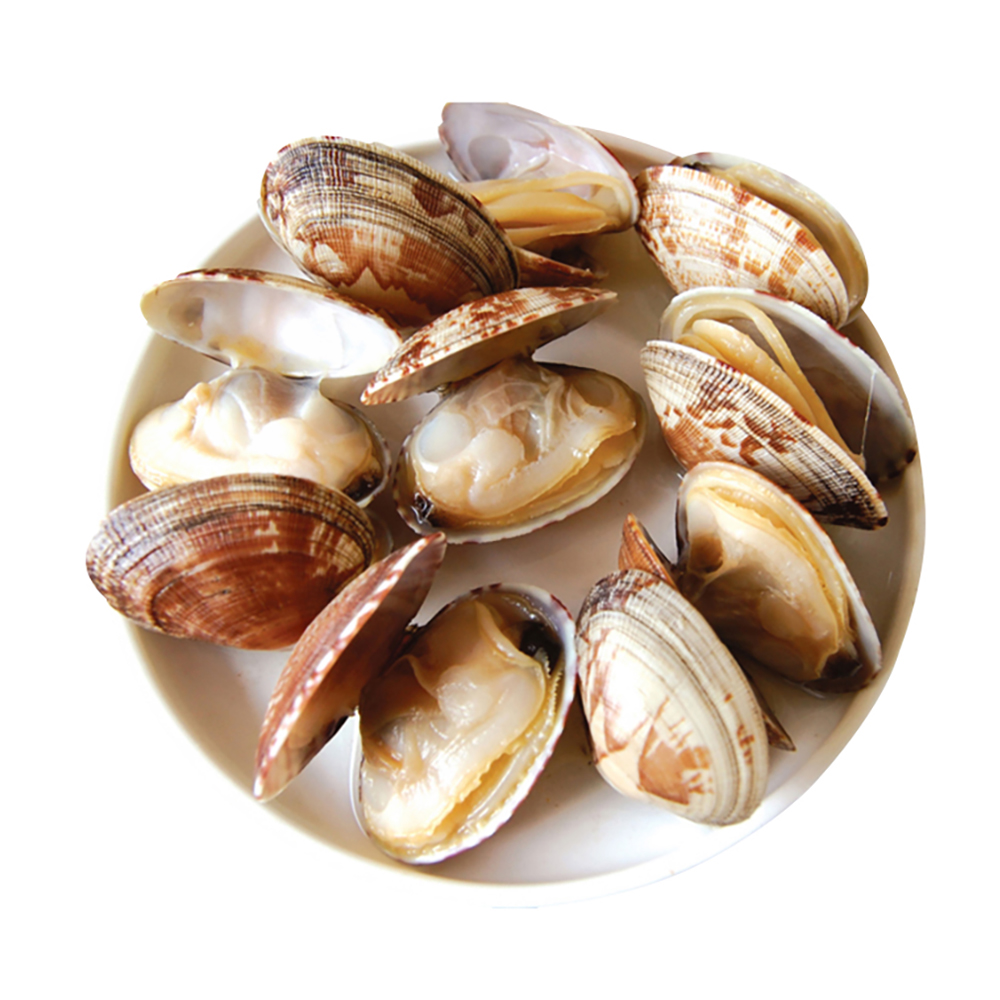 Frozen fresh new boiled whole cooked with shell clam food packaging baby clam