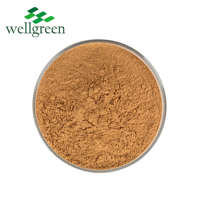 Gynostemma Extract Powder Free Sample Dried Gynostem P.E Gynostemma Pentaphylla Extract