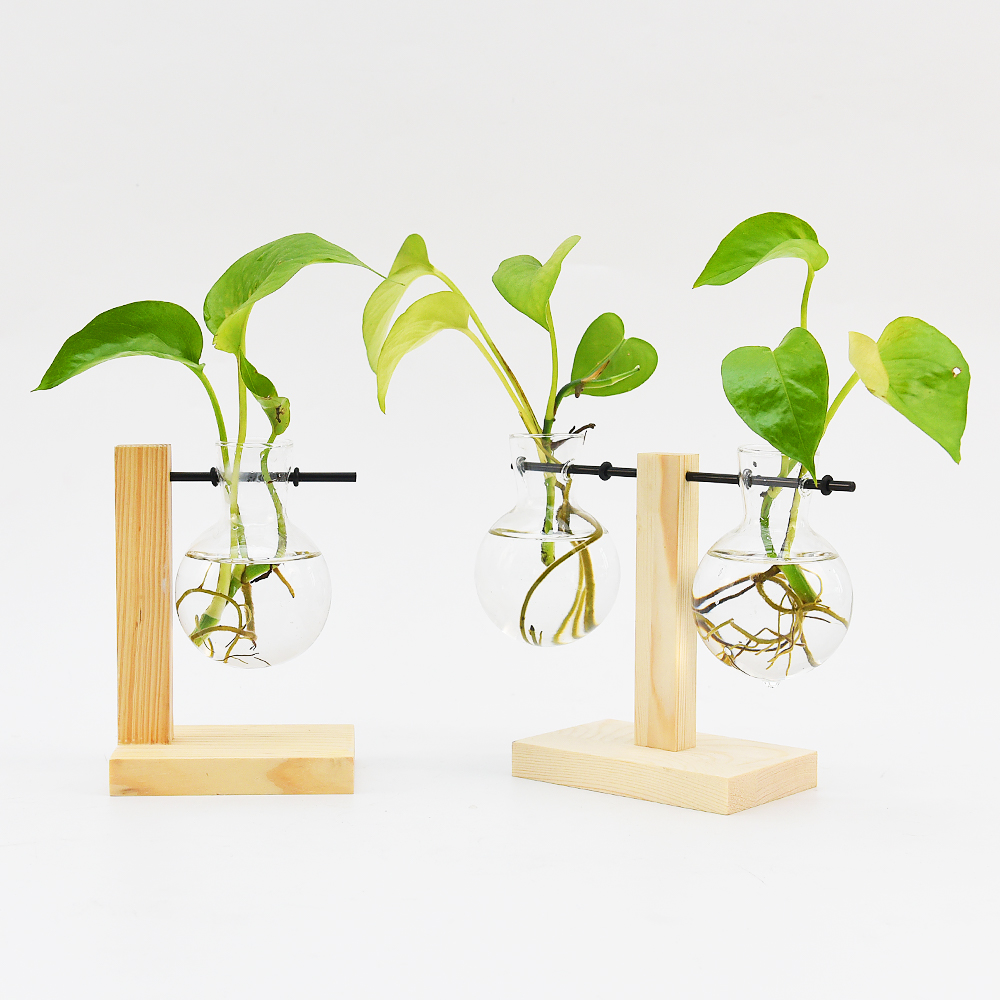 Office desktop decoration aquatic plant propagation station Removable wooden support small glass flower vase