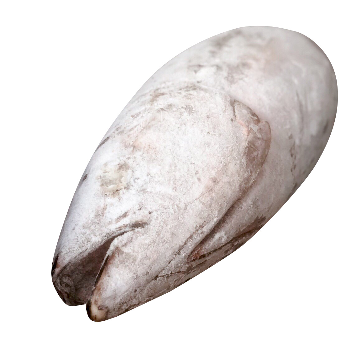 Оптовая торговля IQF замороженный альбакор для свежих морепродуктов