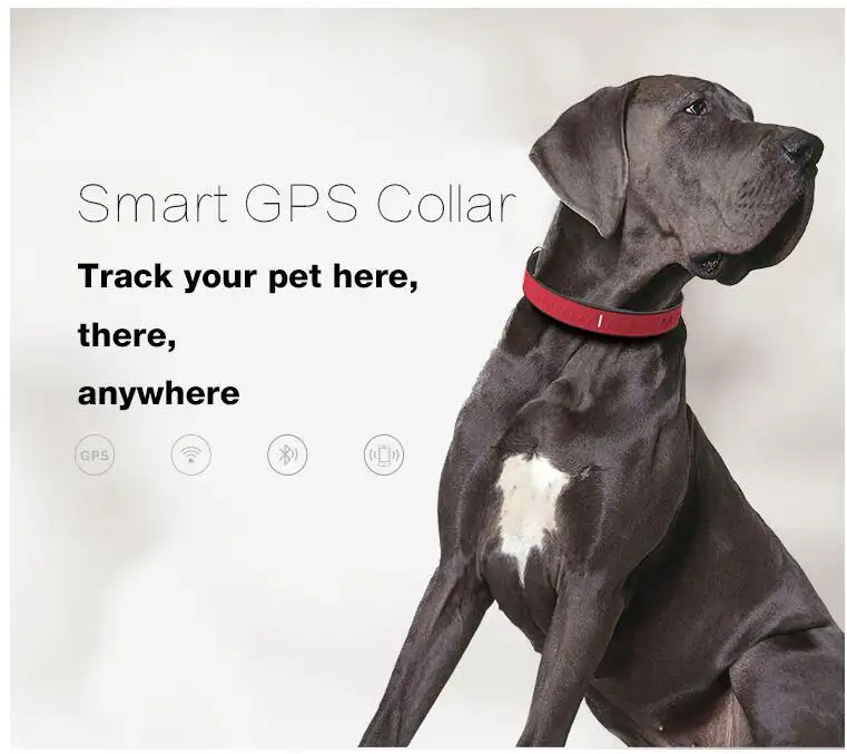 cheap real-time mini gps pet tracker for dogs/cats/animals, dog Pet gps tracker cat smallest gps pet tracking