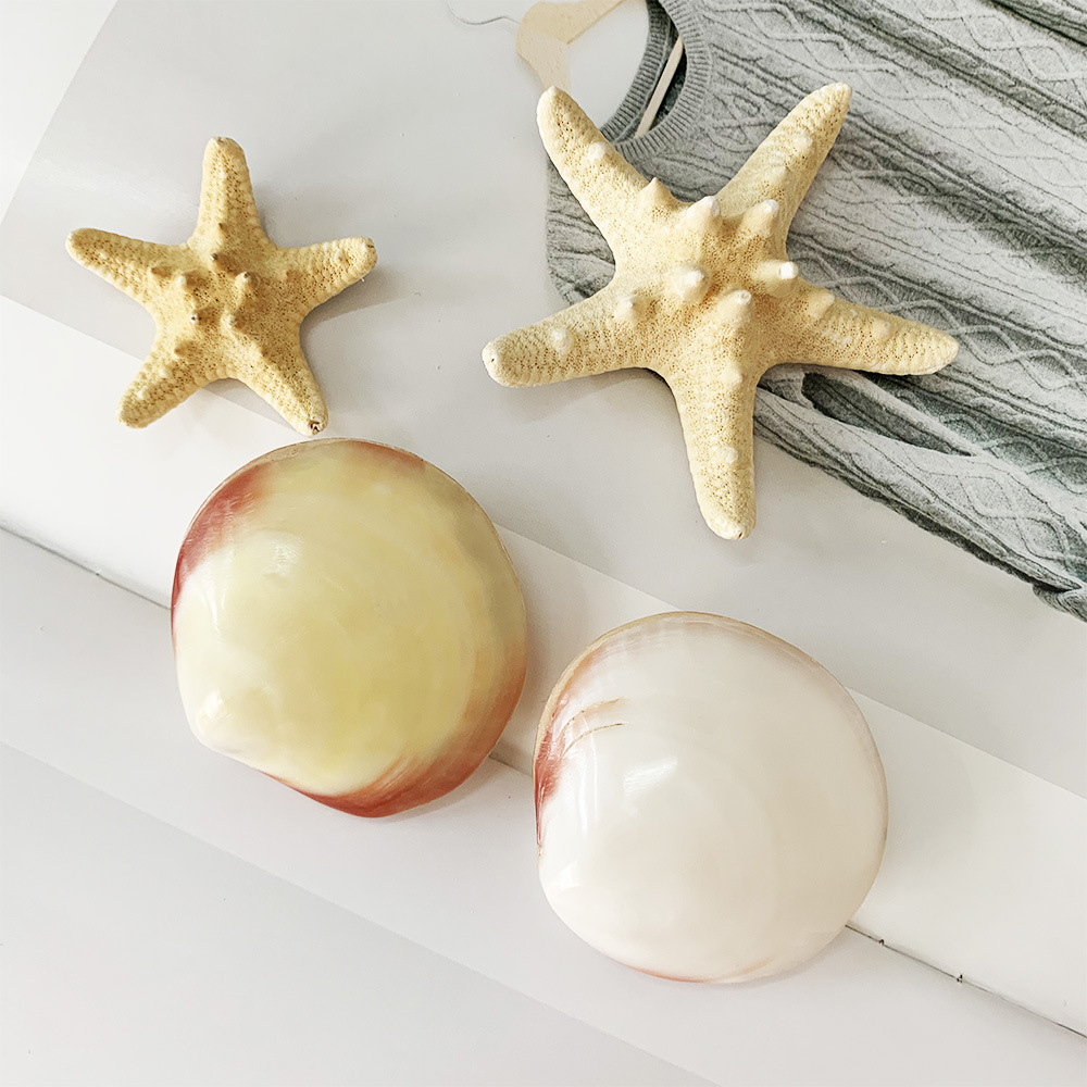 Crafts New shell handicraft powder clam children's gift toyClay Crafts