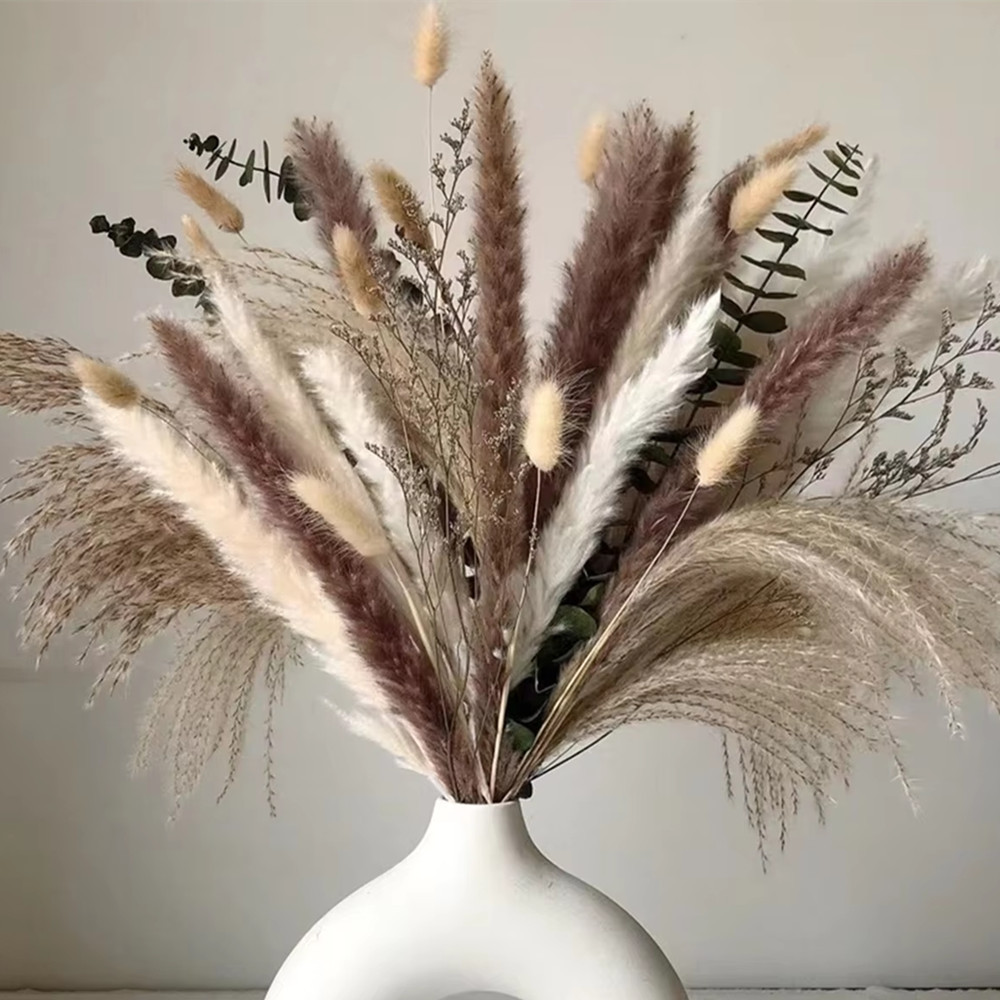 Bohemian Style Fluffy Pampas Grass Natural Dried Small Eucalyptus Reed for Wedding Home Decor Christmas for Decorative Purpose