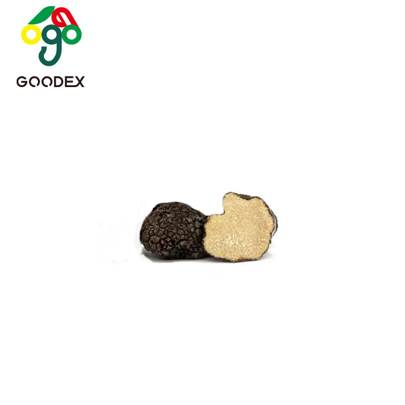 TOP Grade New Arrivals Hot selling Black Truffle Dried Mushroom