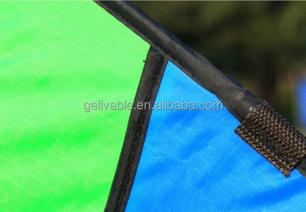 Weifang cartoon lovely large smooth flying children frog triangle kite