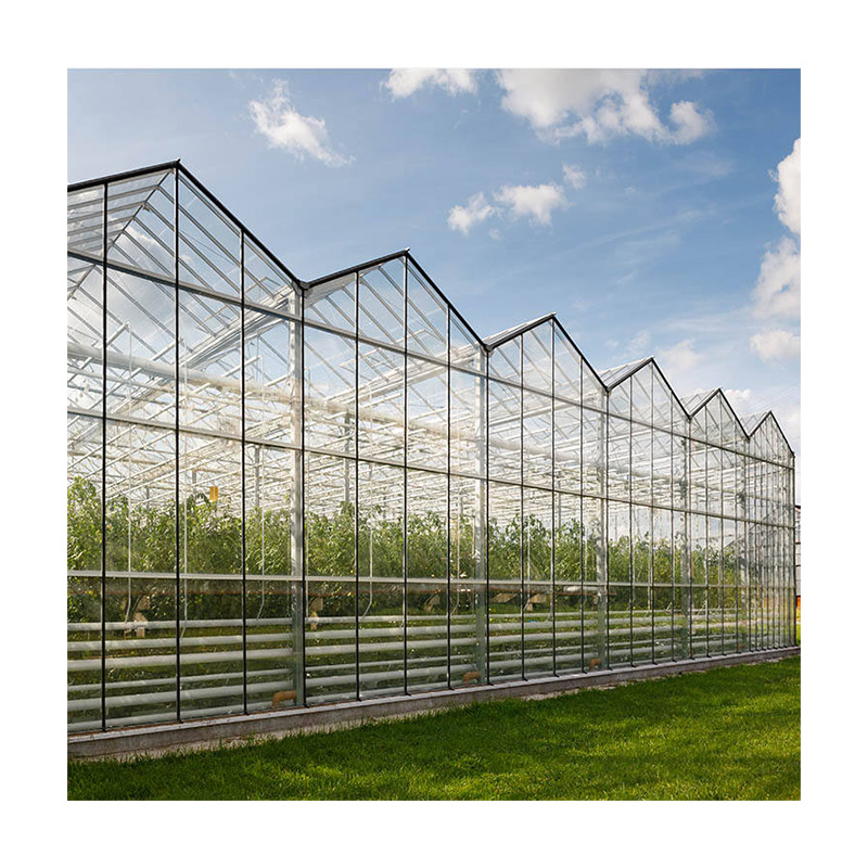 High quality solar control tempered insulated glass single and multi cooling greenhouse hydroponics system with accessories
