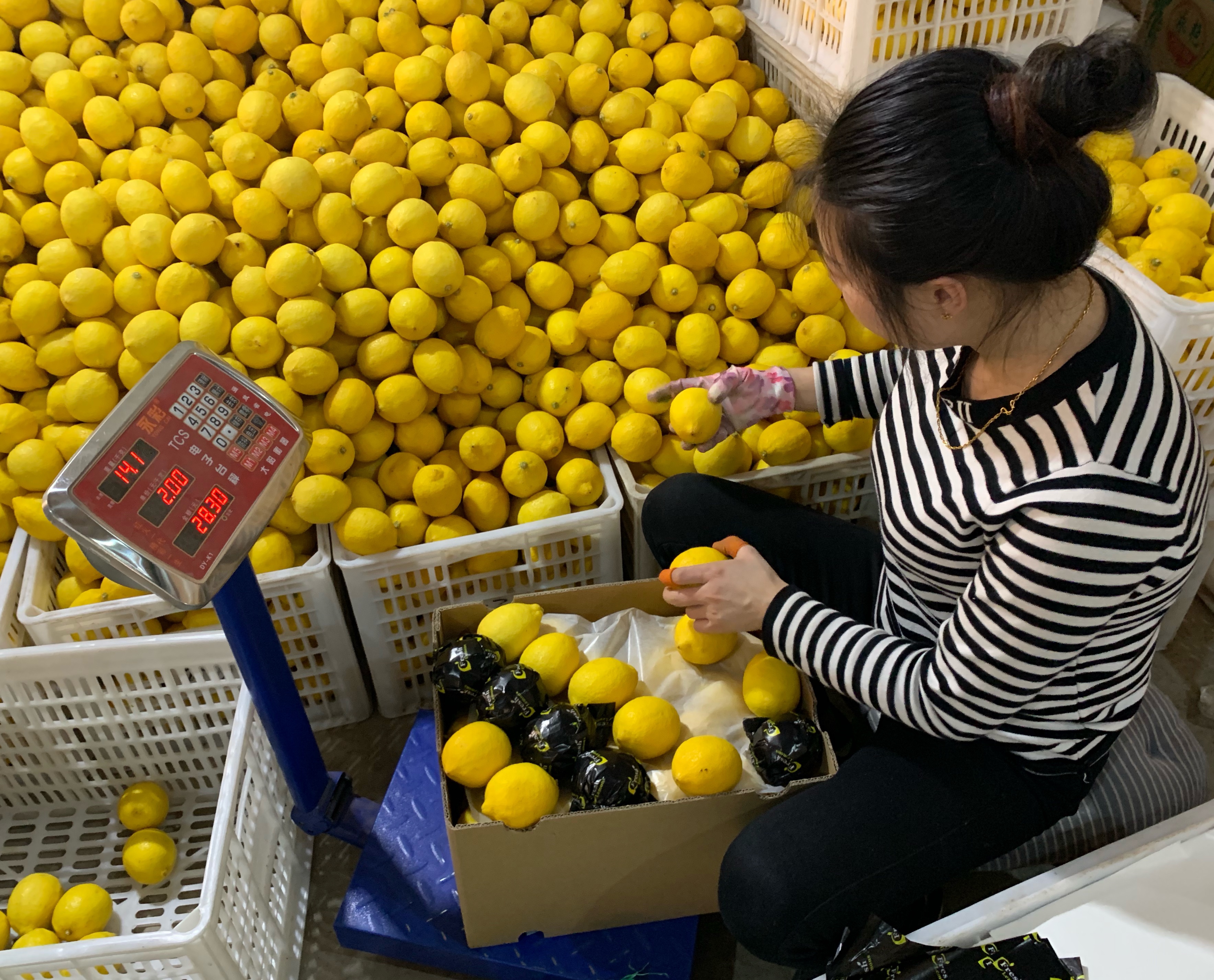 Свежий органический лимон на продажу