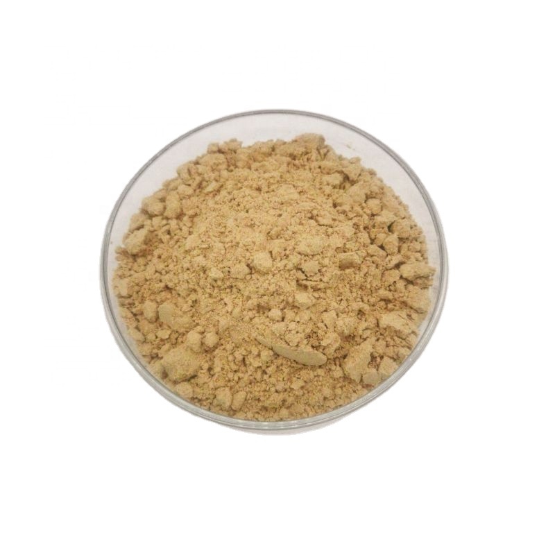 Оригинальный продукт, порошок пробиотиков Bacillus licheniformis Initial Naturals