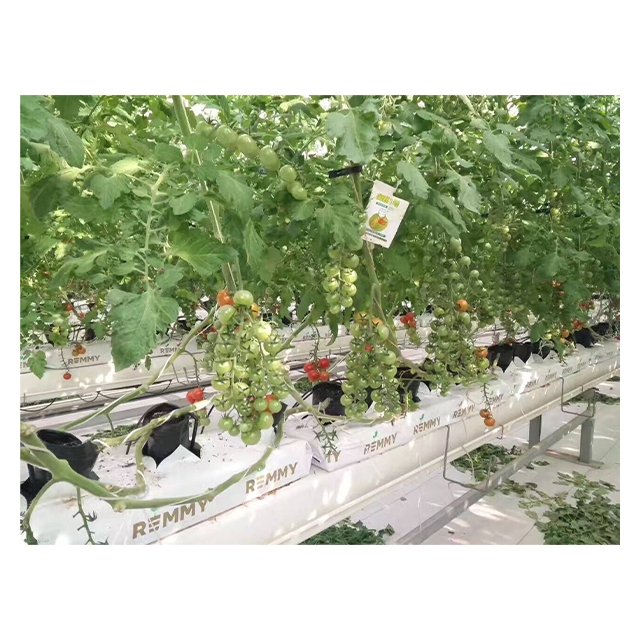 Вертикальная ферма Hidroponia Pvc, аэропонная Nft,nft гидропонная система cocopeat grow bag