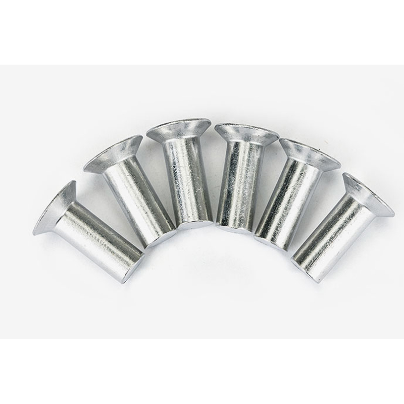 Inox SS304 SS316 Solid Flat Head Rivets DIN302