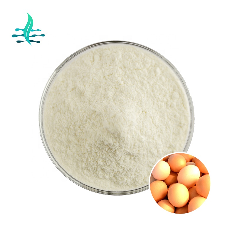Best selling high quality Egg Albumin powder