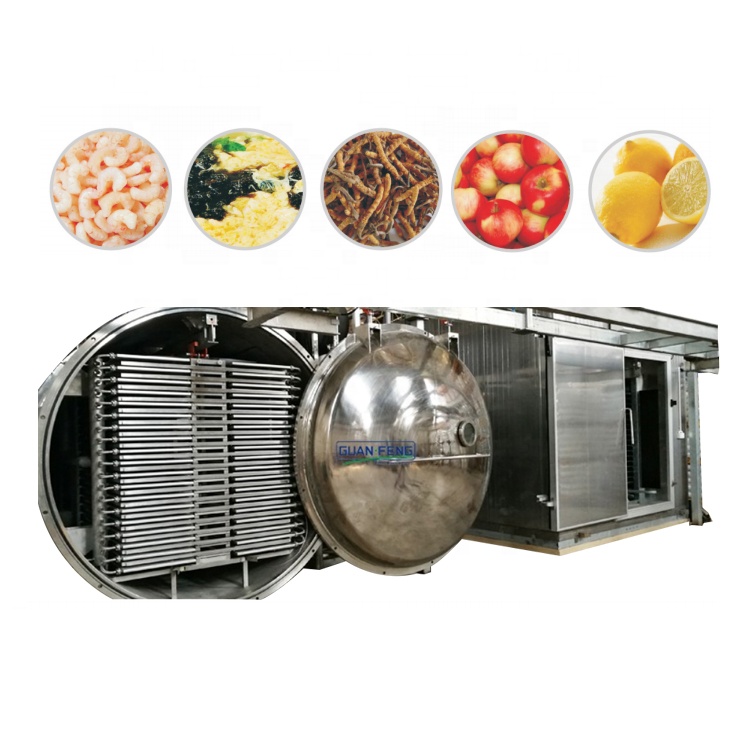Lyophilizer Vacuum Freeze Dryer Fruit and Vegetables Processing Equipment Line