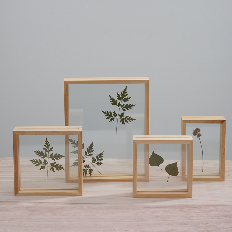 European Style Multi-Size Mdf Classic Creative Photo Frame Double-sided glass specimen photo frame