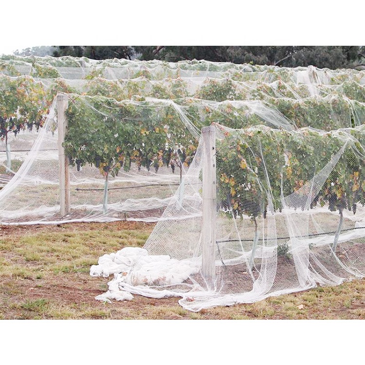 HDPE + УФ-вязаные анти-птичьи сети hdpe сельское хозяйство, сетка для птиц
