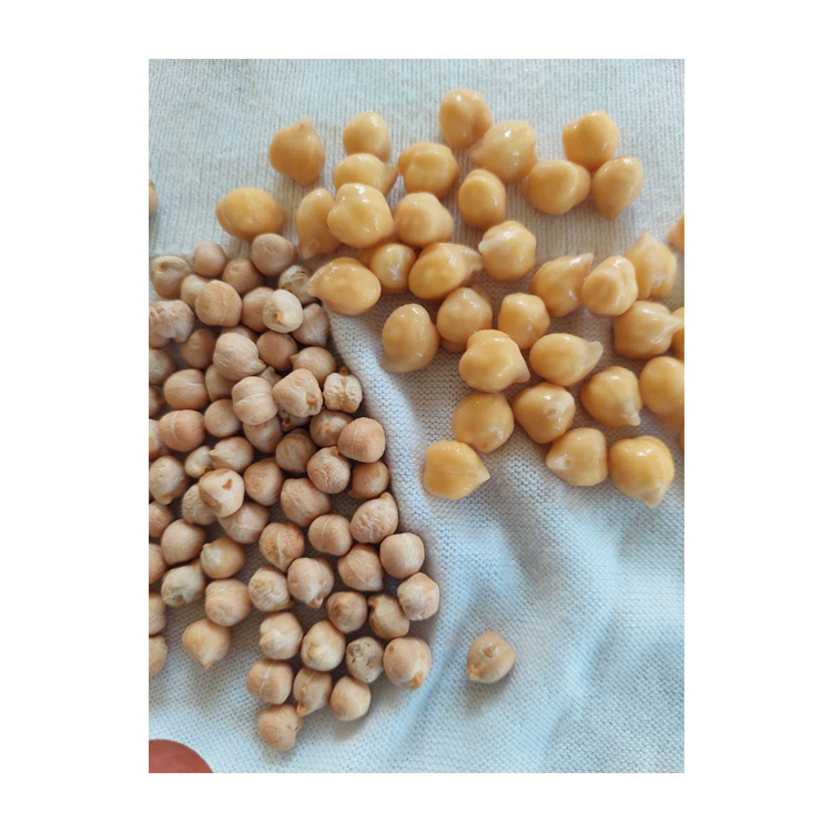 Bulgarian Chickpeas Good Quality At Factory 7 mm 8 mm 9 mm Price Chickpeas Chickpeas Snacks New Crop Kabuli Packaging