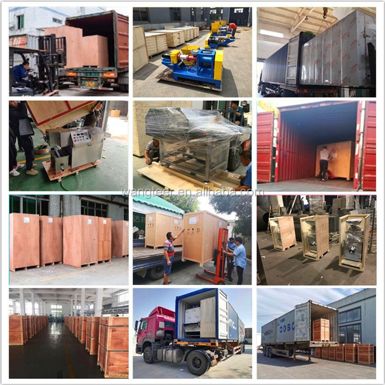 200kg/h Floating Fish Feed Making Manufacturer Pellet Equipment for Dog Pet Food Extruder Machine