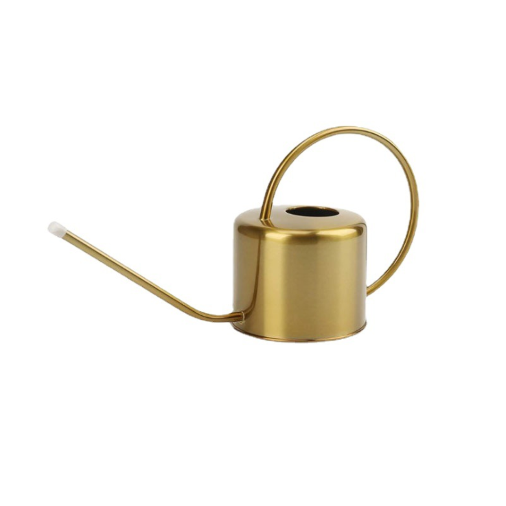 Long Spout Watering Can for Outdoor and Indoor Plants, Decorative Gold Colored Watering Can for Bonsai Succulents and Garden
