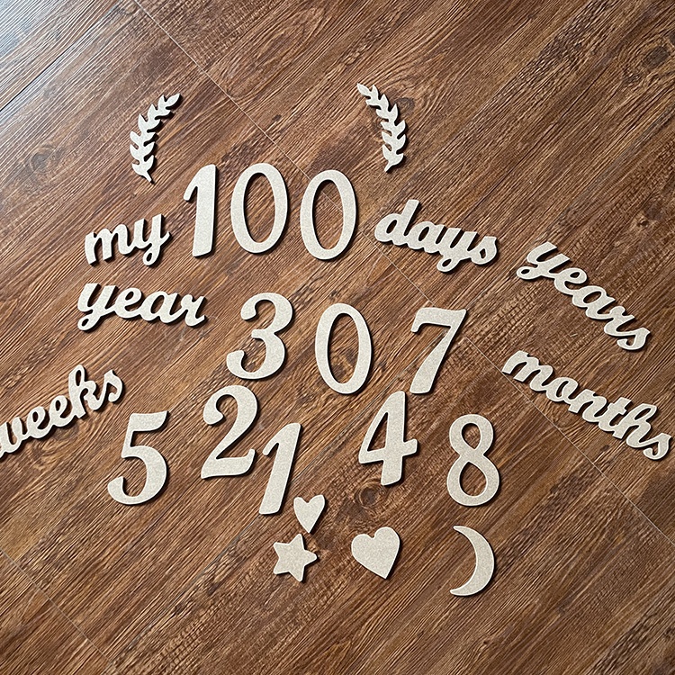 MDF Wooden Baby Monthly Milestone Cards Set