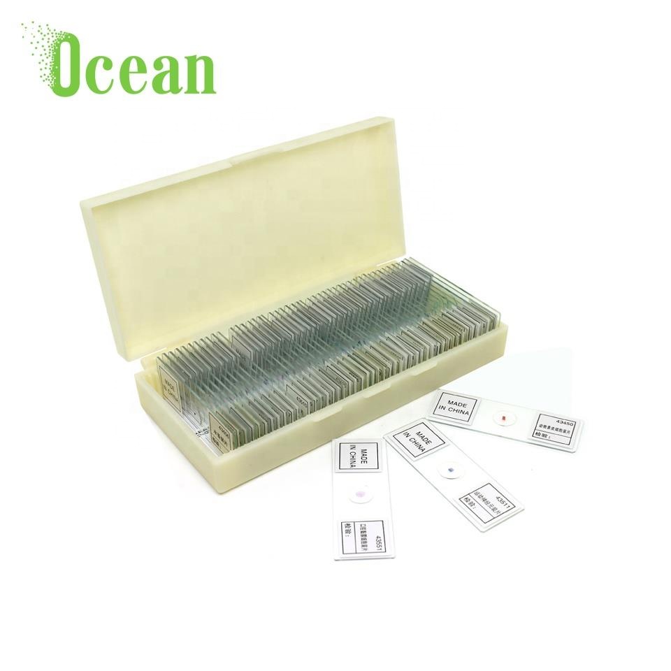 Letter "e" W.M. microscope prepared slides