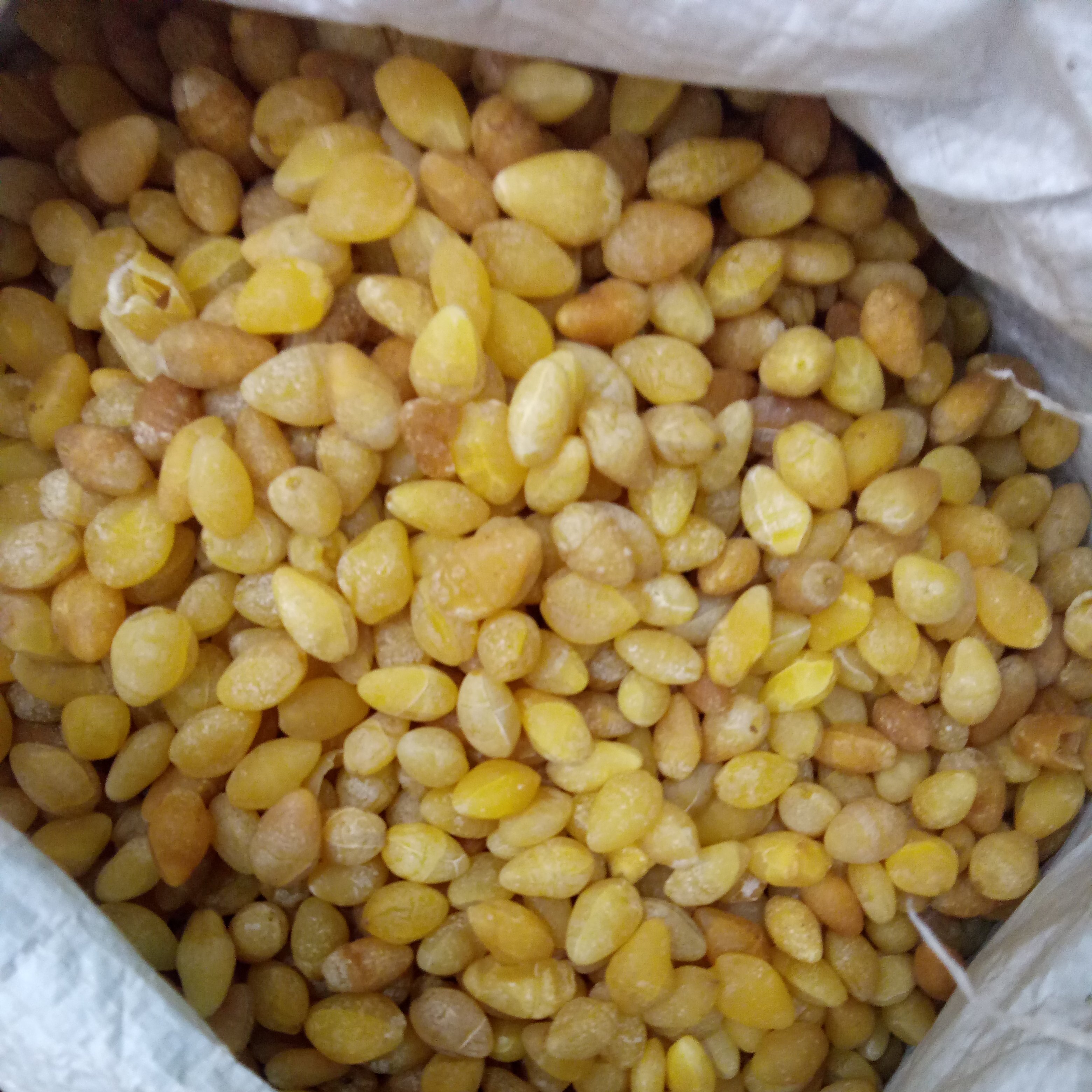 Peeled ginkgo seed dried ginkgo kernel for herb