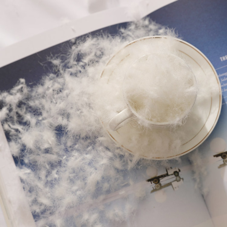 Pure pillow filling material white goose feather down