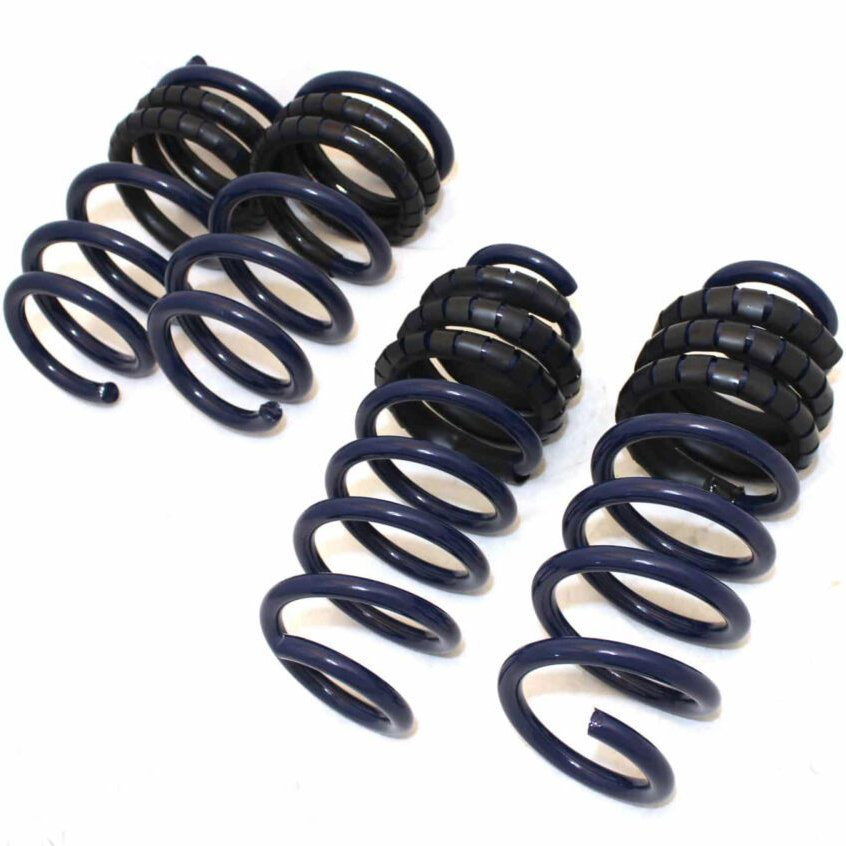 Guwo Suspension System Shock Absorber Spring Rear Coil Spring Dual Rate Linear Lowering Spring Set for Tesla Model 3