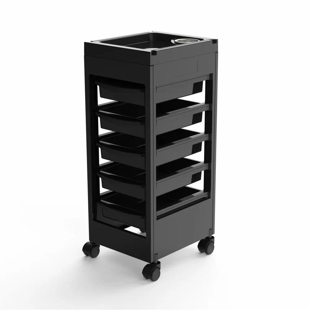 Cheap Black Economical Salon Trolley