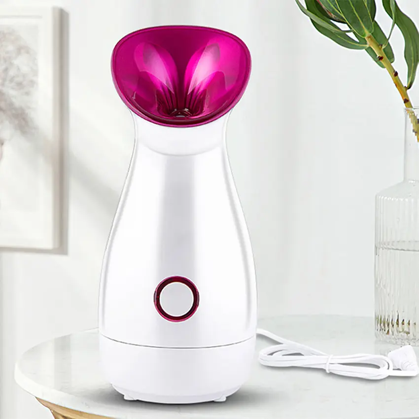 Amazon Hot selling 2020 new arrival professional beauty salon home use portable Nano face steamer