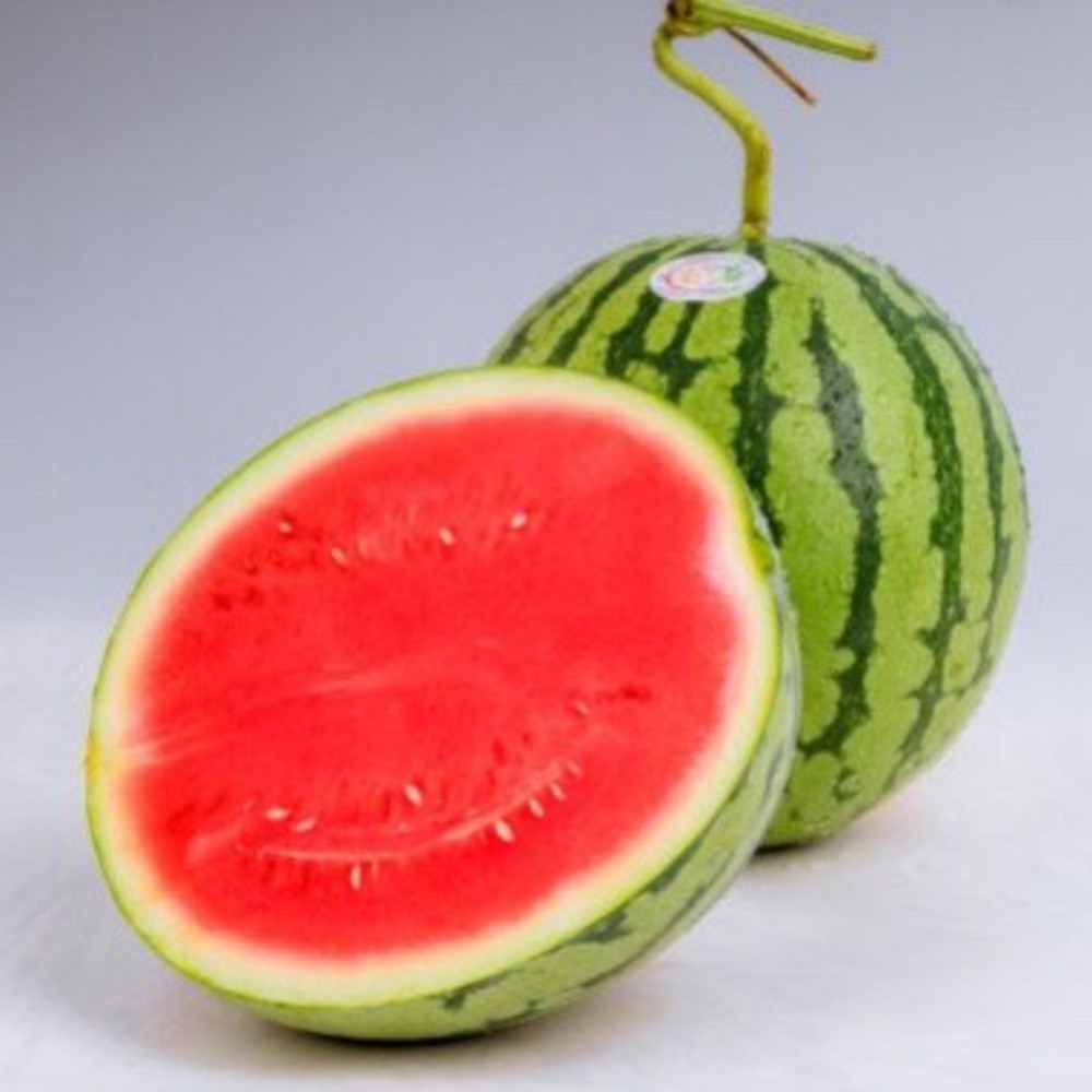 Seedless Fresh Watermelon Premium Style Weight Water Origin Type Size Grade Product ISO Fresh Fruit Place Model Melon Harvest