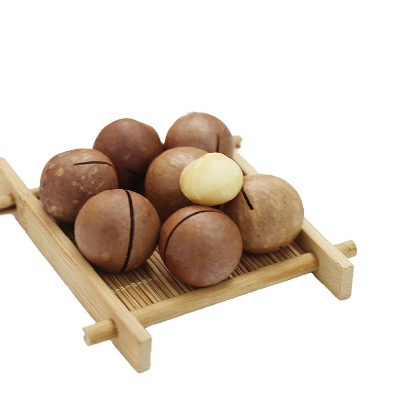 Wholesale Price 100% Natural Macadamia Nuts 3A Chinese Raw Dried Snack & Food Delicious!