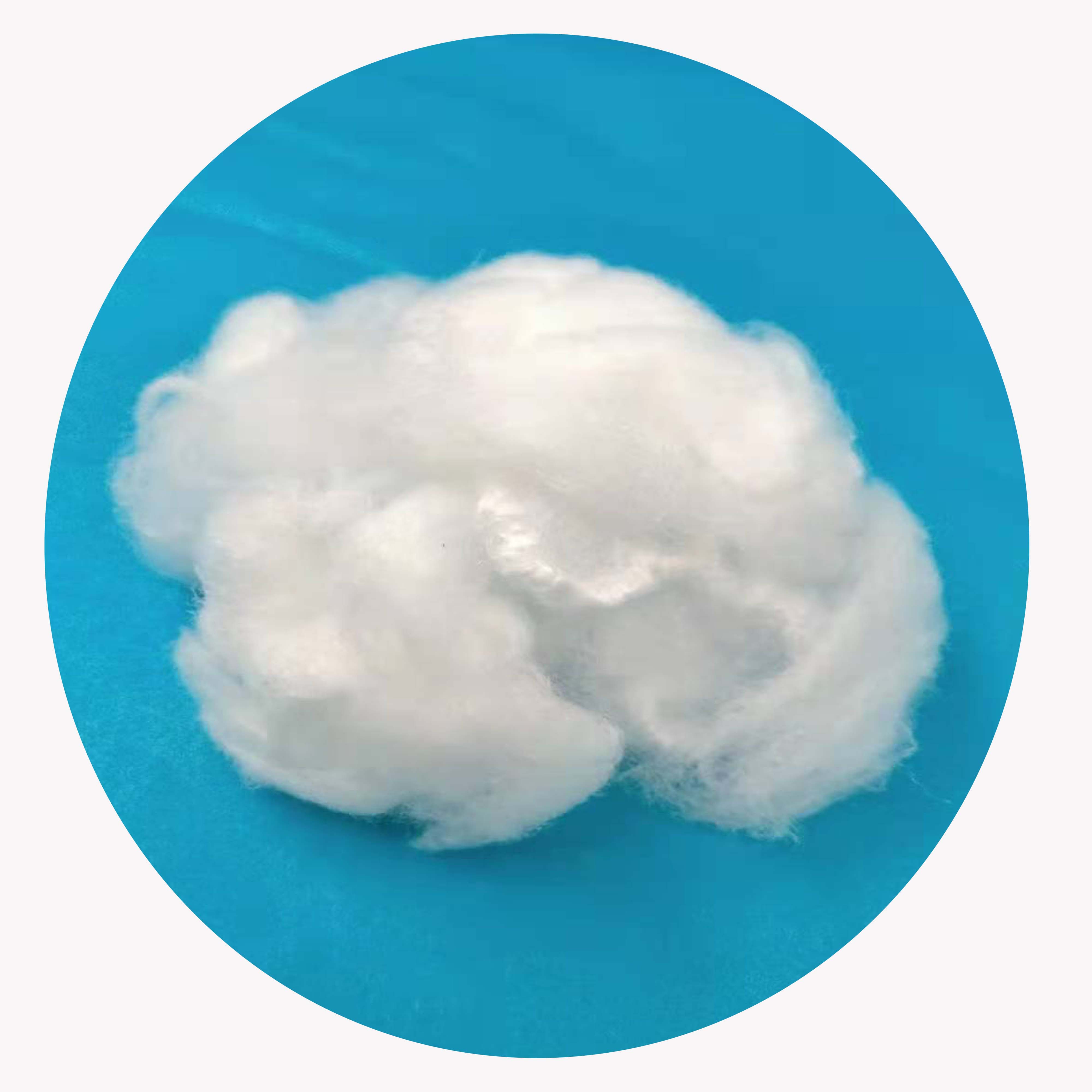 Nylon6 Staple fiber for Spinning