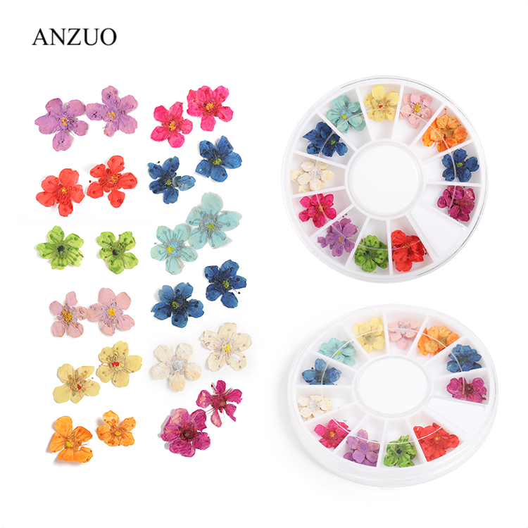 Hot Sale New Design Colorful 3D Nails Real Dry Flower Stickers with Nature Dry Flowers 12 Color Nail Art Accessory