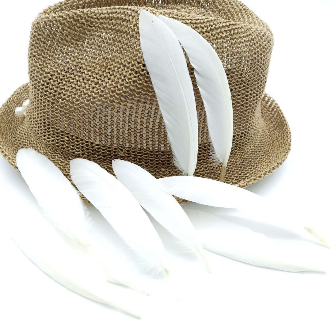Cross-border spot direct sale of quality washed goose feather