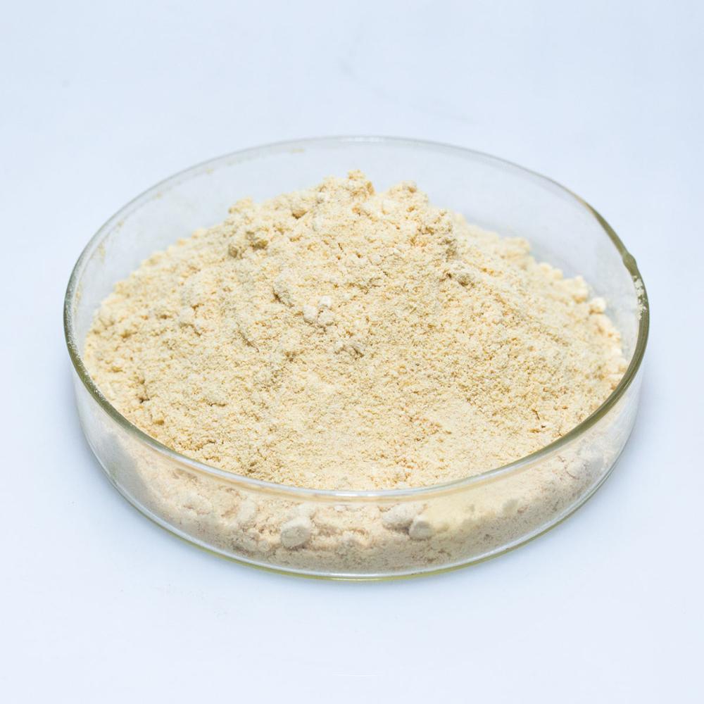 runyu supply glucanase/ beta glucanase/ enzim beta glucanase with factory price