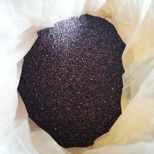 Tiantiantong Food Seasoning Spices Black Pepper Seeds Wholesale Ground Pepper Black