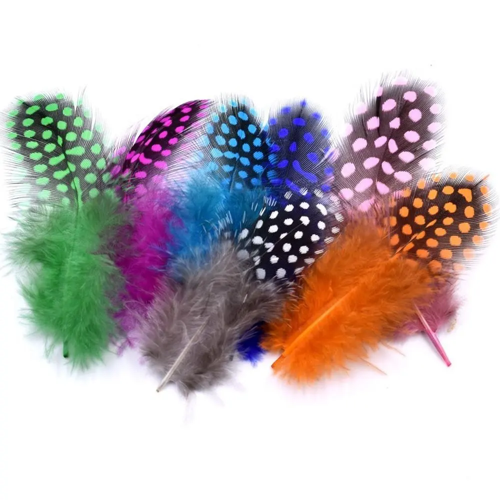 Wholesale Dyed Various Colors HP-2 Natural Colorful Guinea fowl feathers