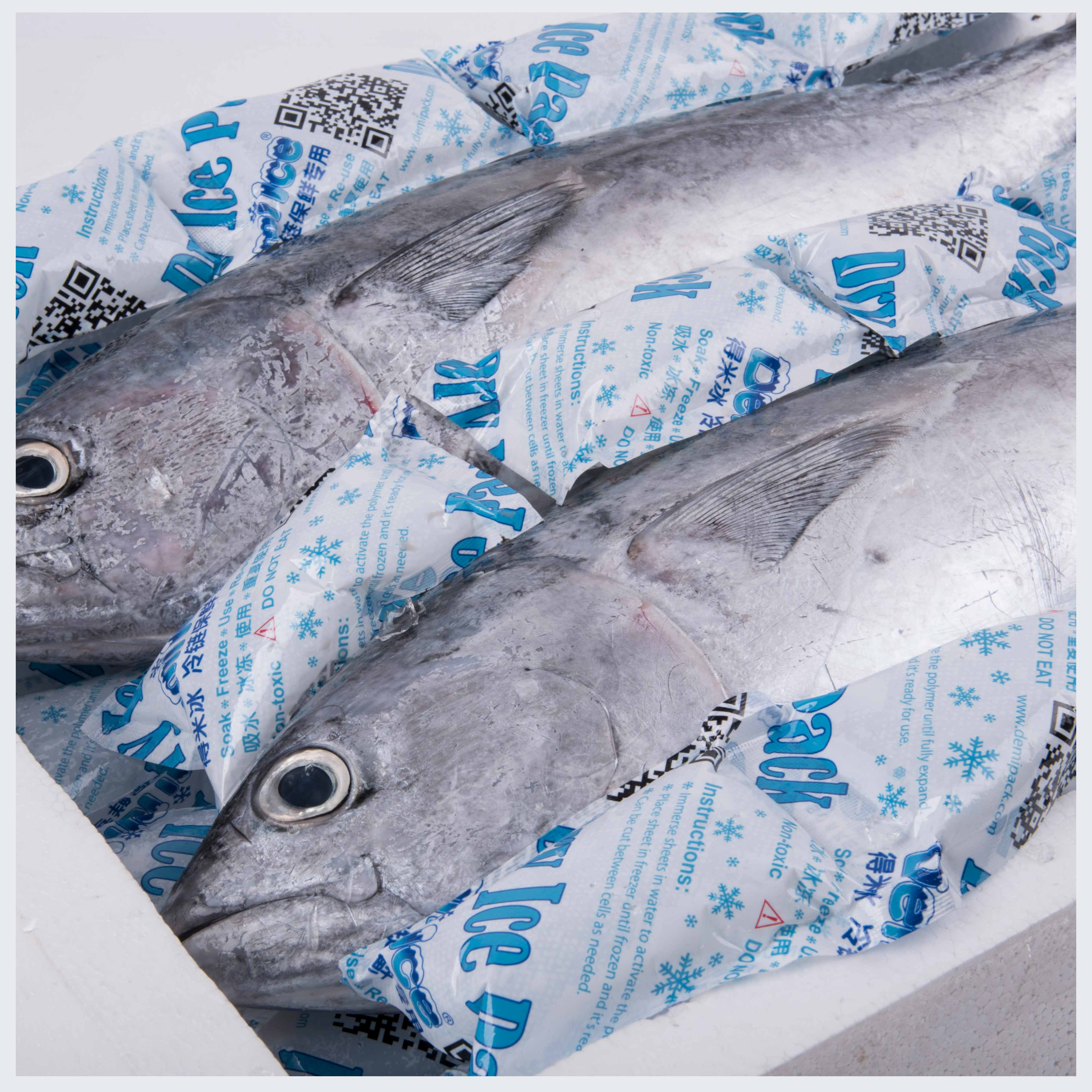 Сухой лед пакеты лист морозильная камера с гелевыми упаковками для кулеров сухой лед пакеты лист для доставка замороженных продуктов одноразовые ледяной упакованы